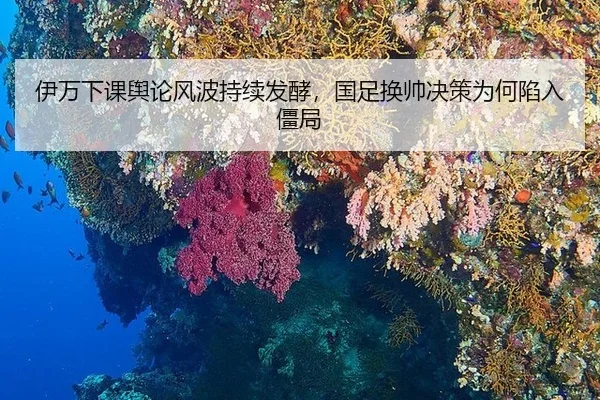 伊万下课舆论风波持续发酵，国足换帅决策为何陷入僵局